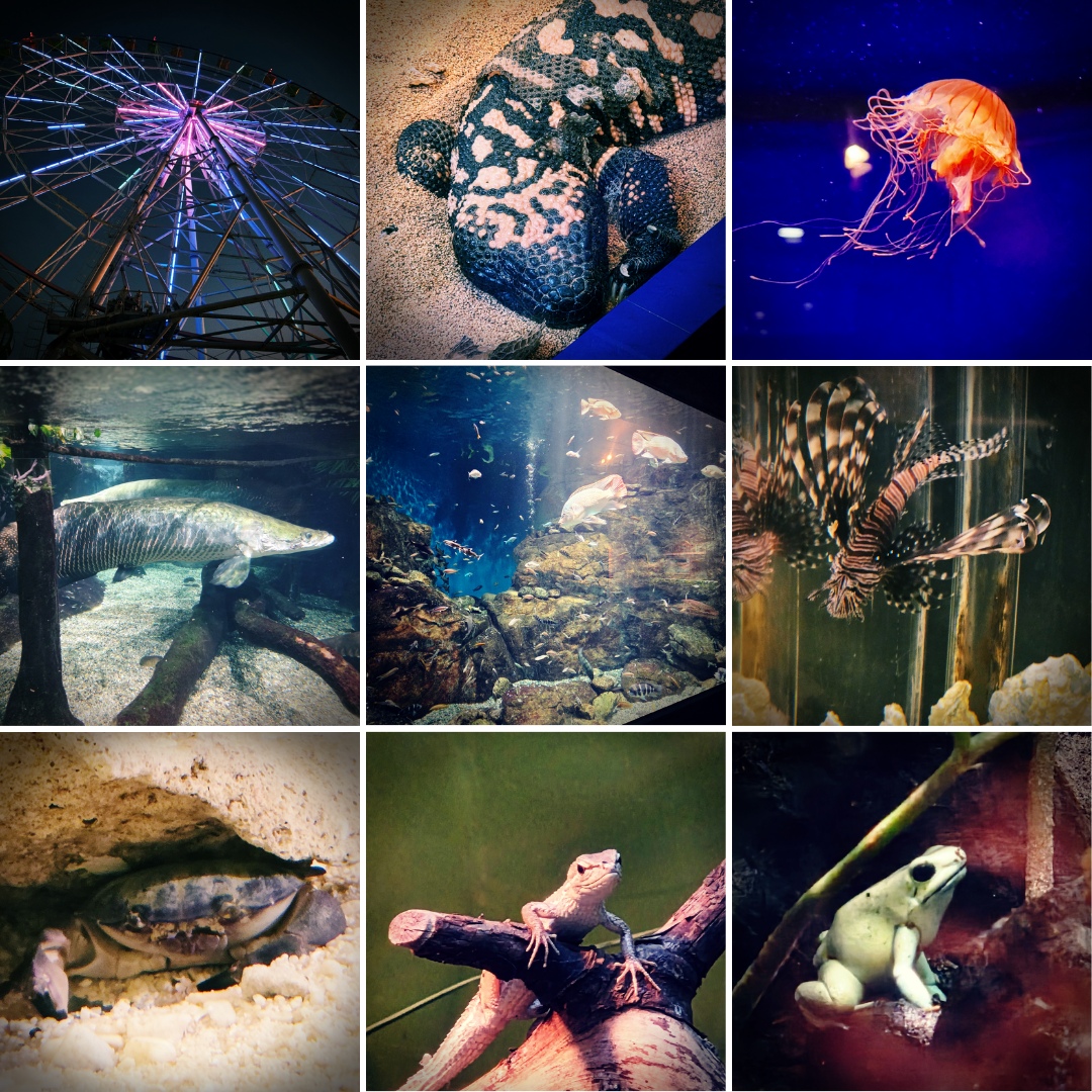 �A�N�A�E�g�g����2